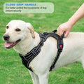 No Pull Dog Harness Adjustable Reflective Oxford Easy Control Medium Large Dog Harness with a Free Heavy Duty 5Ft Dog Leash (S (Neck: 13