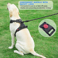 No Pull Dog Harness Adjustable Reflective Oxford Easy Control Medium Large Dog Harness with a Free Heavy Duty 5Ft Dog Leash (S (Neck: 13