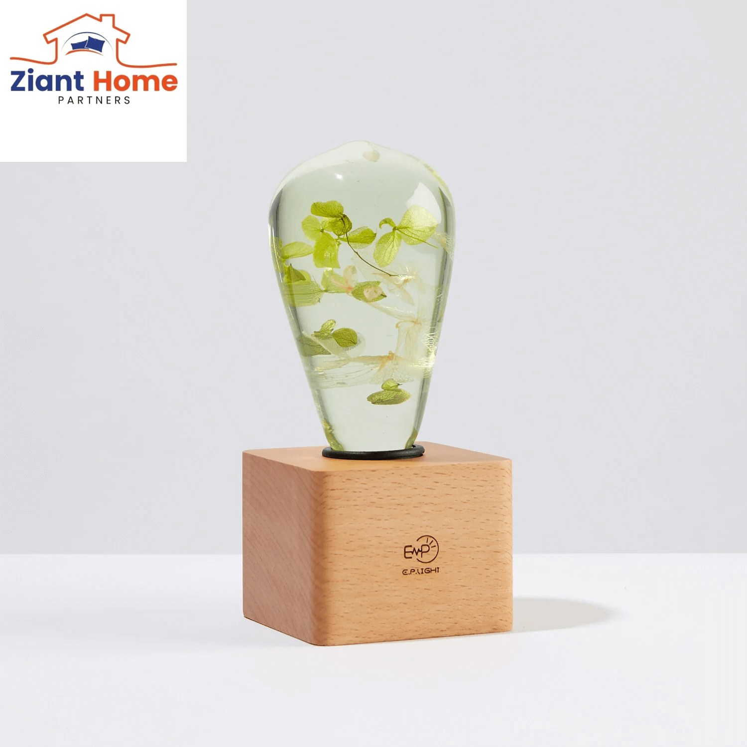 EP Ziantful Light featuring a handcrafted white hydrangea encased in eco-friendly resin on a wooden base, ideal for any E27-E26 LED light socket.