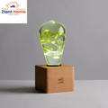 Eco-friendly EP Ziantful Light with white hydrangea design in a durable resin bulb on a wooden base by Ziant Home Partners