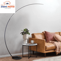 Ziantful Modern Curve Floor Lamp | New Version